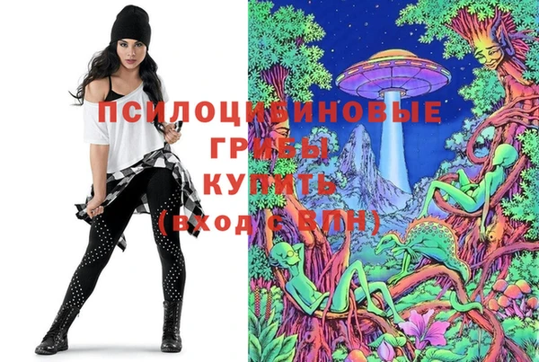 дурь Арсеньев