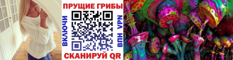 купить наркоту Медногорск Псилоцибиновые грибы мицелий
